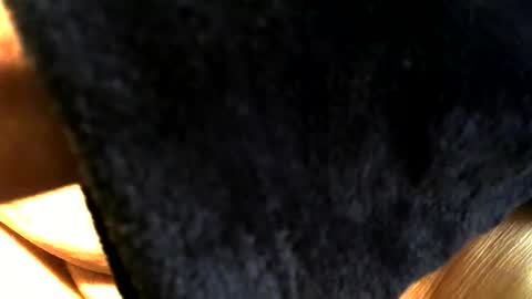 Buck online show from 03-15-26, 03:40