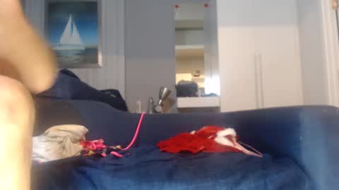 buddiup2 online show from 12-15-24, 08:52