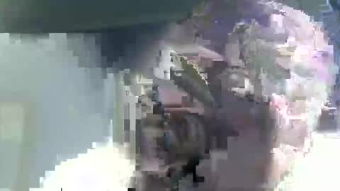 Snapshot of buddyboy51 chatting on 02-14-26, 04:53 Casey online show from 02-14-26, 04:53