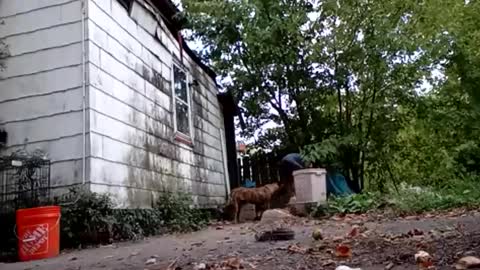 buddylovex online show from 10-06-25, 10:18