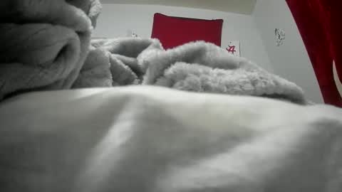 budsonly33 online show from 12-12-24, 07:52