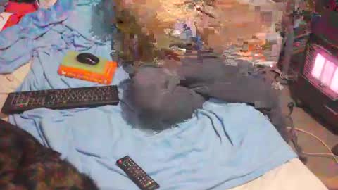 bufu21 online show from 02-02-25, 09:56