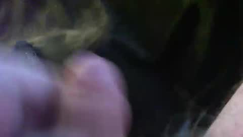 Snapshot of bullemoe chatting on 01-14-25, 02:11 bullemoe online show from 01-14-25, 02:11