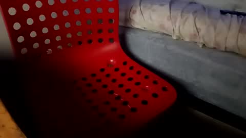 bullspain27266272 online show from 01-26-25, 04:41