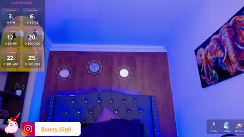 Bunny online show from 02-25-25, 08:19