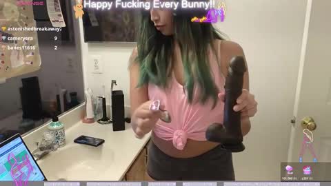 Snapshot of bunnycheekz chatting on 12-05-24, 11:07 Tokki bunny online show from 12-05-24, 11:07