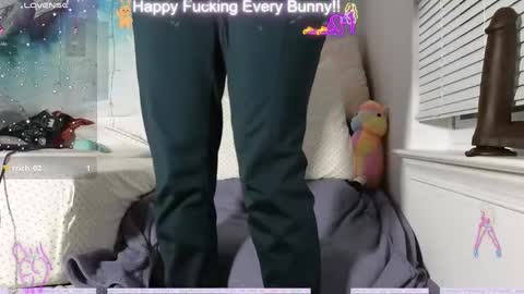 Snapshot of bunnycheekz chatting on 12-12-24, 02:37 Tokki bunny online show from 12-12-24, 02:37