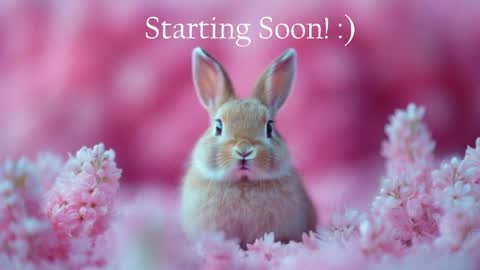 Stella online show from 05-21-26, 11:56