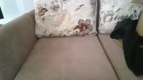 Snapshot of burak20x chatting on 10-30-25, 07:10 burak20x online show from 10-30-25, 07:10