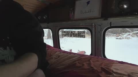 Snapshot of busbuddies chatting on 12-29-24, 04:19 busbuddies online show from 12-29-24, 04:19