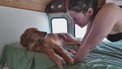 Snapshot of busbuddies chatting on 02-02-25, 04:54 busbuddies online show from 02-02-25, 04:54