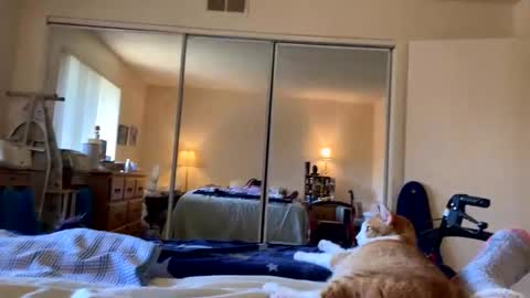 Snapshot of busty_2008 chatting on 03-20-26, 12:04 busty_2008 online show from 03-20-26, 12:04