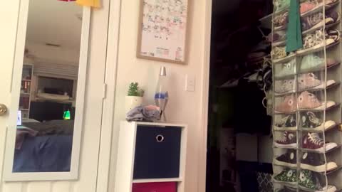 John online show from 04-15-26, 01:23