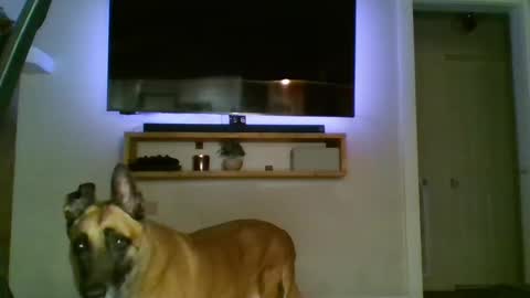 bwc44u online show from 10-02-25, 02:07