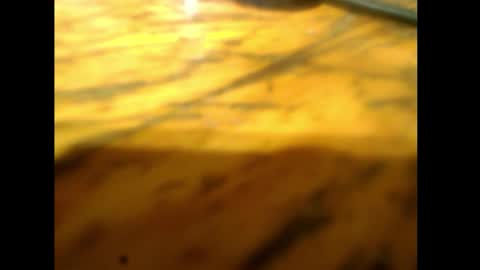 bzxxbzh online show from 02-15-26, 04:14