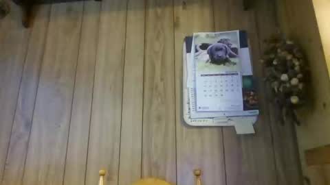 c4u58 online show from 02-01-26, 11:20