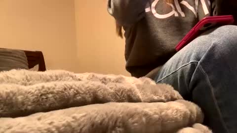 calishop1 online show from 12-11-24, 01:58