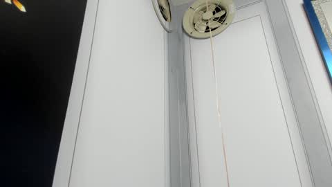 Snapshot of camilahunter__ chatting on 12-24-24, 10:11 Camila online show from 12-24-24, 10:11