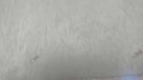 Snapshot of camilahunter__ chatting on 06-10-26, 02:56 Camila online show from 06-10-26, 02:56