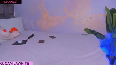 Snapshot of camilawhite_ chatting on 09-24-25, 08:23 MARIA CAMILA online show from 09-24-25, 08:23