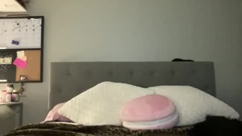 Camila Cruz online show from 02-11-26, 03:22