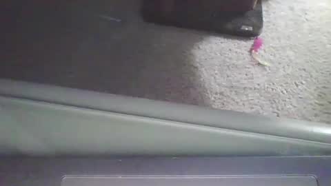 cammyman6900 online show from 09-11-25, 04:01