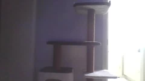 cammyman6900 online show from 11-09-25, 04:55