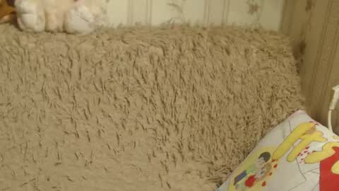say meow and send tips  online show from 01-19-25, 03:53
