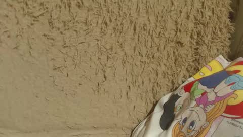 say meow and send tip  online show from 02-13-25, 09:06