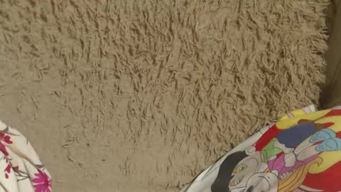 say meow and send tip  online show from 02-14-25, 08:05