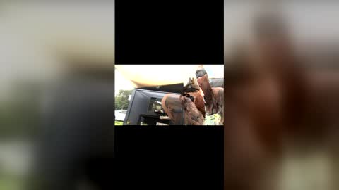 captain_deanos online show from 02-13-26, 10:06