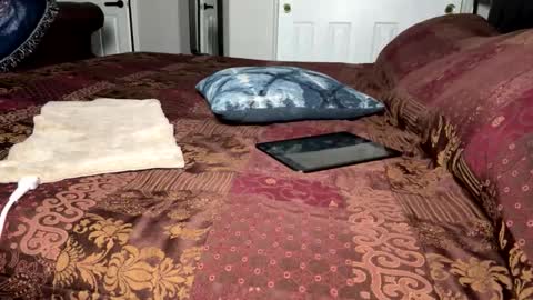 carameltreattt online show from 12-18-24, 12:32