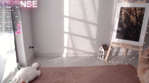 NONA    follow online show from 12-31-24, 08:37