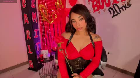 Snapshot of carlasmithx chatting on 02-15-25, 04:58 Carla online show from 02-15-25, 04:58