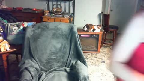 Carley online show from 12-02-24, 03:47
