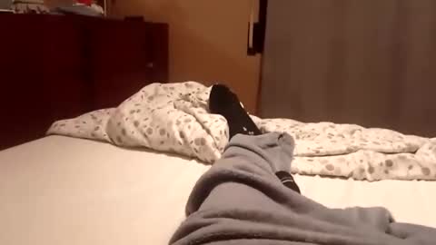 carlitito1 online show from 10-06-25, 07:17