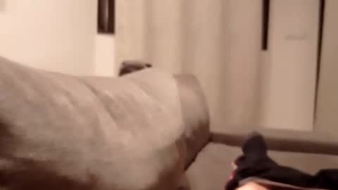 carlitito1 online show from 10-30-25, 05:35