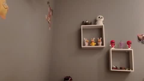 Snapshot of carlitito1 chatting on 11-19-25, 07:52 carlitito1 online show from 11-19-25, 07:52