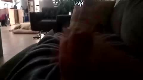 Snapshot of carlitito1 chatting on 11-23-25, 07:08 carlitito1 online show from 11-23-25, 07:08