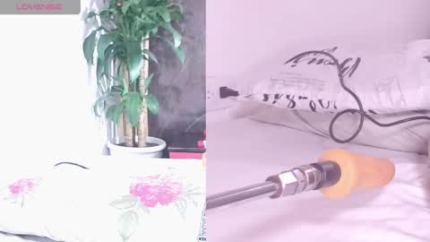 Carol online show from 04-17-26, 11:02