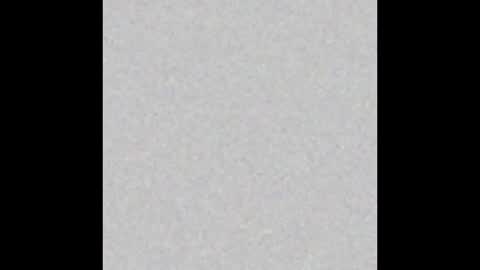 carolina online show from 12-14-24, 03:51