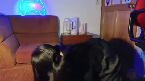 Snapshot of caroll_luna chatting on 12-07-24, 05:15 kitty online show from 12-07-24, 05:15