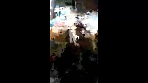 carrilloeverardo219 online show from 03-23-26, 11:31