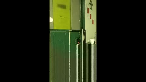 carrilloeverardo219 online show from 03-25-26, 07:58