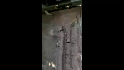 carrilloeverardo219 online show from 05-24-26, 07:13