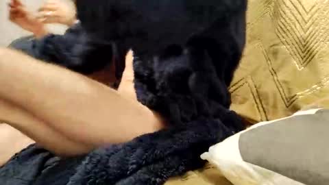 casal_301 online show from 02-23-25, 10:20