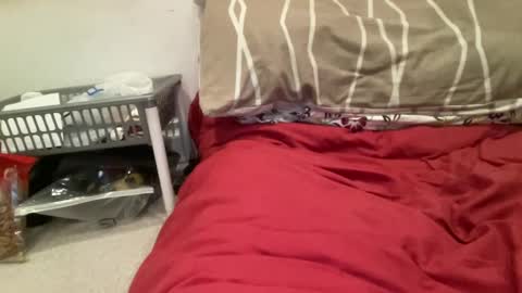 casanovacasaa online show from 02-20-25, 07:19