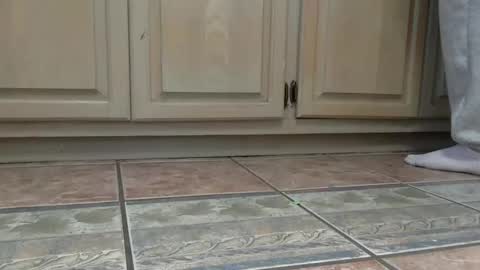 cash13bychanel online show from 12-22-25, 07:44