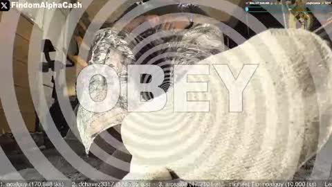 Master Grey online show from 05-15-26, 04:08