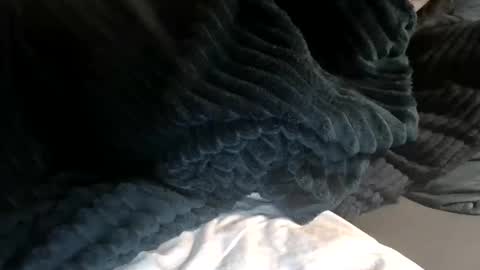 Snapshot of cassandra06400 chatting on 11-01-25, 12:29 cassandra06400 online show from 11-01-25, 12:29